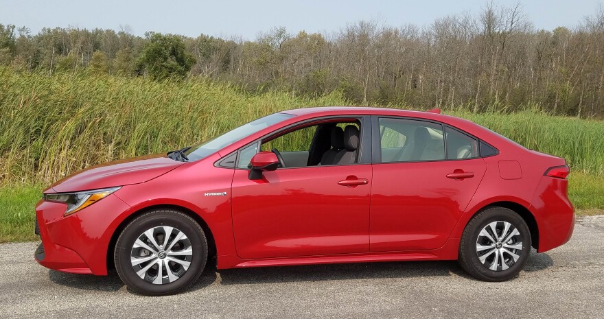 2024 Toyota Corolla Hybrid vs Honda Civic side by side at Tianjin port